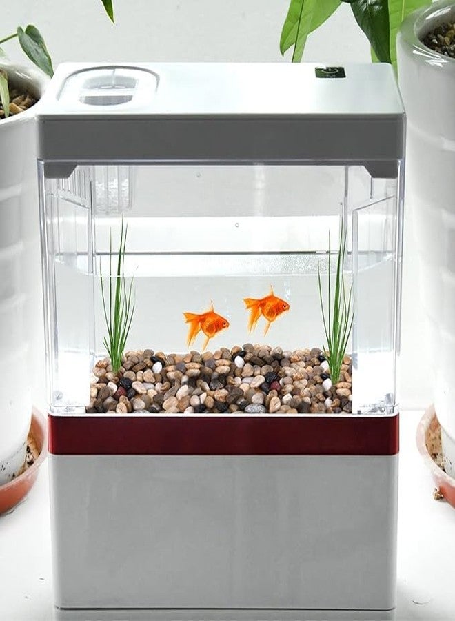 Premsons® Rough Decorative Pebbles - Biege Stones - For Aquariums Garden Lawn Plant Pots Vases Filler Home Office Decor Fish Tank - Smooth & Round River Rocks - Small Size 2.5-4 cm - 1kg Pack - Image 5